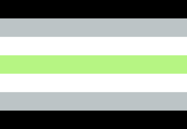 agender flag